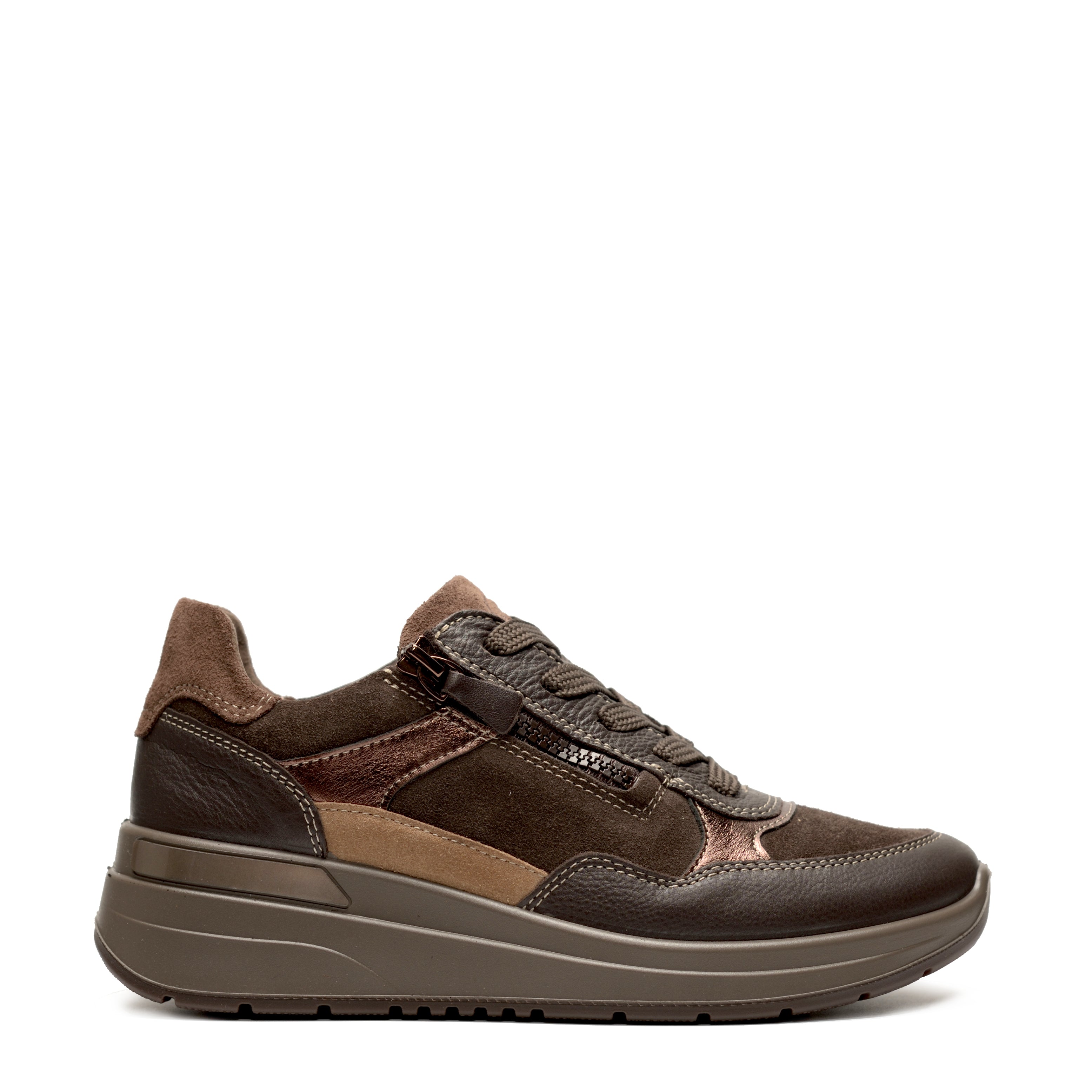 Scarpa Lacci +Zip Ara  57702