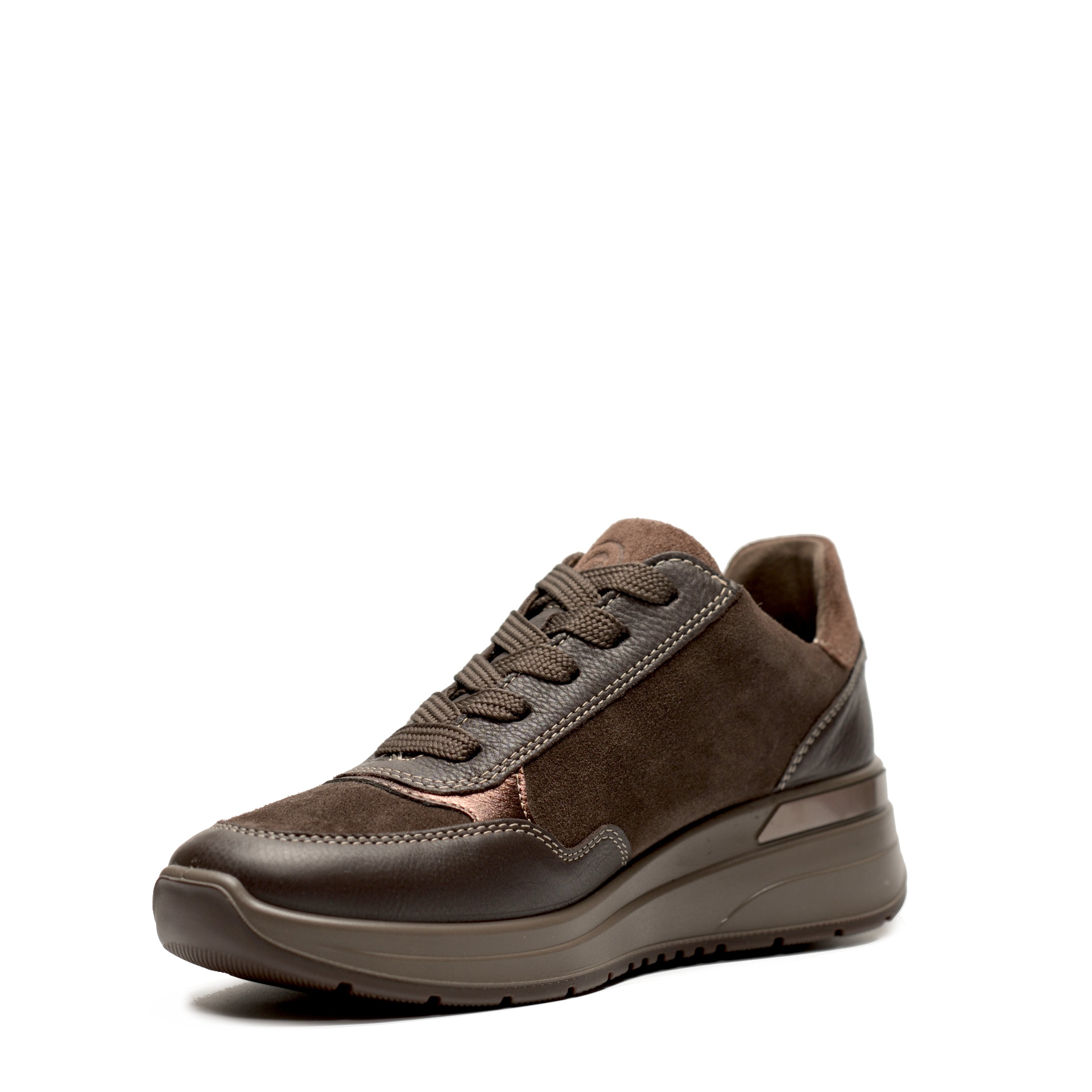 Scarpa Lacci +Zip Ara  57702
