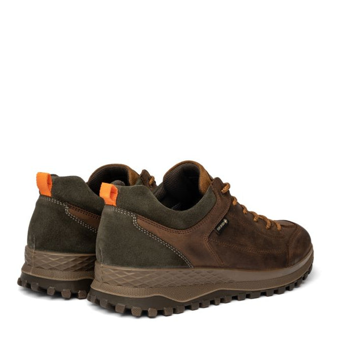 Scarpa Lacci Gore-Tex S.Gomma Ara  24401