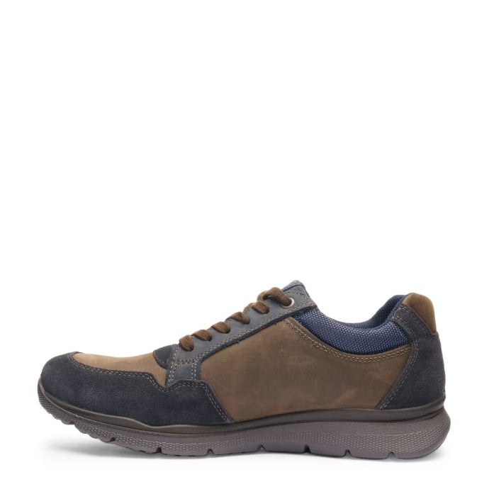 Scarpa Lacci Gore-Tex S.Gomma Ara  24607