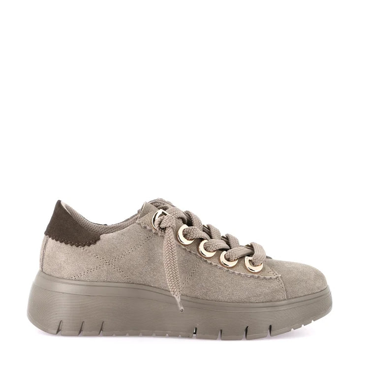 Scarpa Lacci S.Gomma Grunland  SC6339