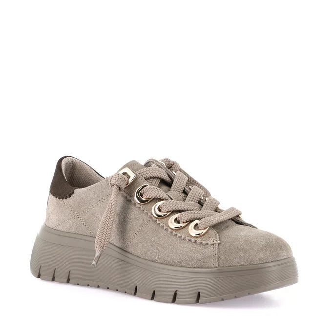 Scarpa Lacci S.Gomma Grunland  SC6339