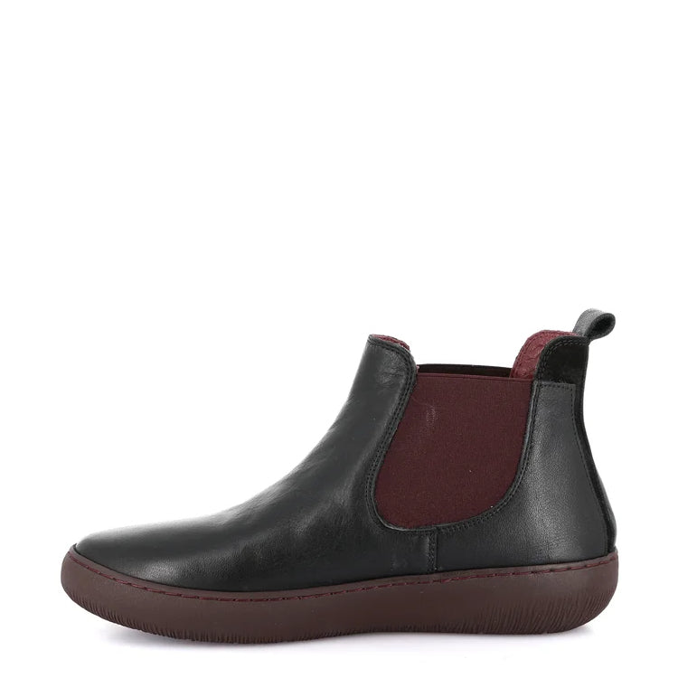 Polacco Con Elastici  Grunland  PO1854