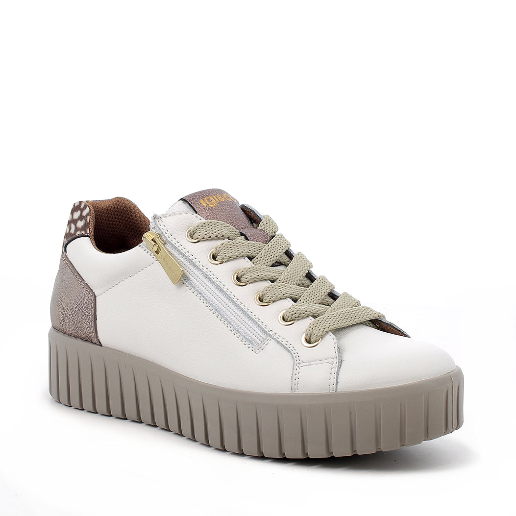 Scarpa Lacci + Zip S.Gomma Igi & Co  21686 VITELLO