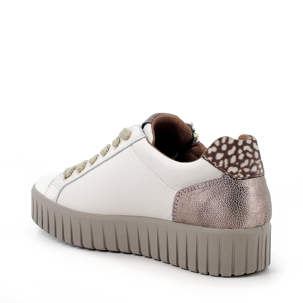 Scarpa Lacci + Zip S.Gomma Igi & Co  21686 VITELLO