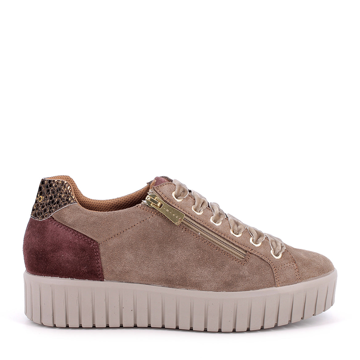 Scarpa Lacci + Zip S.Gomma Igi & Co  21686 CAMOSCIO