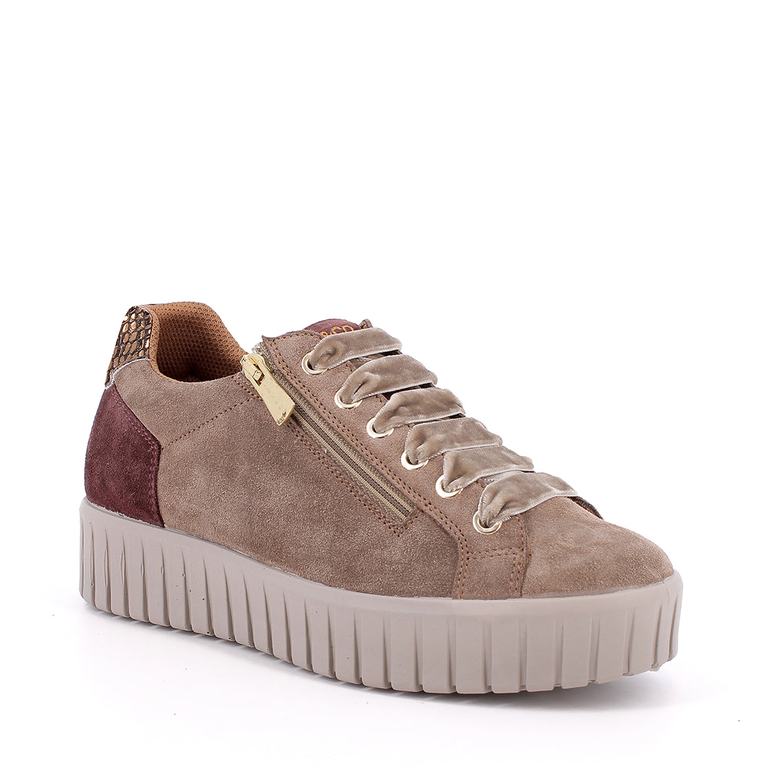 Scarpa Lacci + Zip S.Gomma Igi & Co  21568 CAMOSCIO